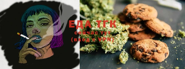 индика Аркадак