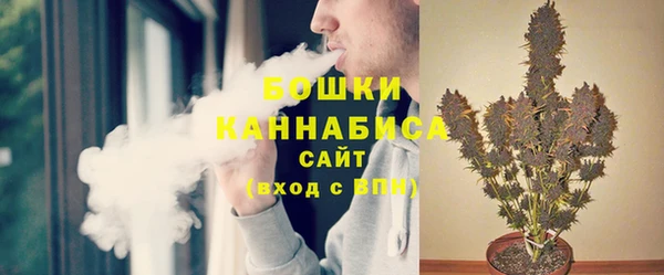 индика Аркадак