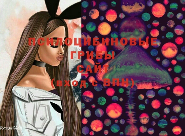 индика Аркадак