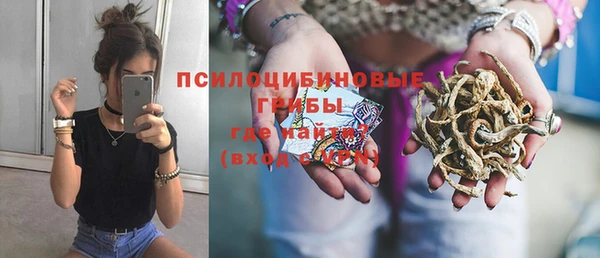 индика Аркадак