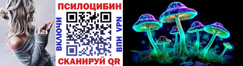Галлюциногенные грибы Psilocybine cubensis закладки Рыльск